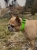 IMG_9946.jpeg
