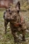 IMG_9938.jpeg