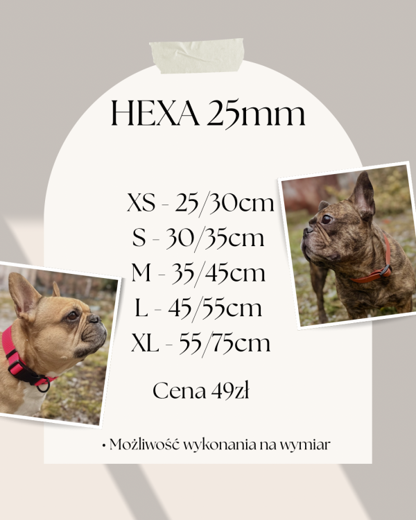 XS - 2530cm S - 3035cm M - 3545cm L - 4555cm XL - 5575cm.png