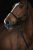 DCBC1D80-E662-46F3-936E-D6B1297D3606.png