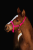 12B8E920-A176-413D-9409-569351EC3219.png