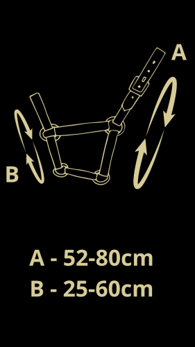 IMG_1536.png