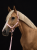 5347AC36-C132-4D5D-9C89-A40BE18B207B.png